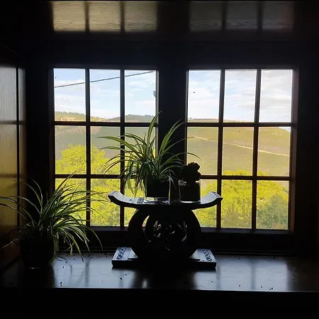 Feriehus Casa Da Zeza Negreda